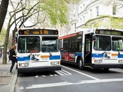 Sports Team Transportation