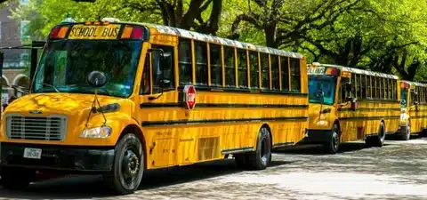 school buss rental