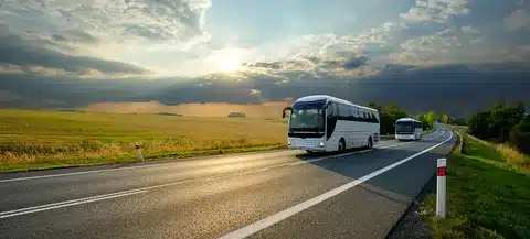 Bus Rental