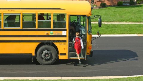 school bus rental