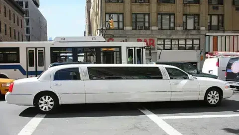 Limousine Bus Rental