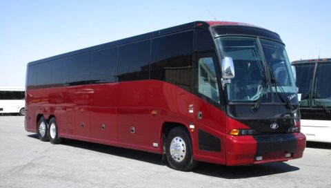 Coach Bus Rental